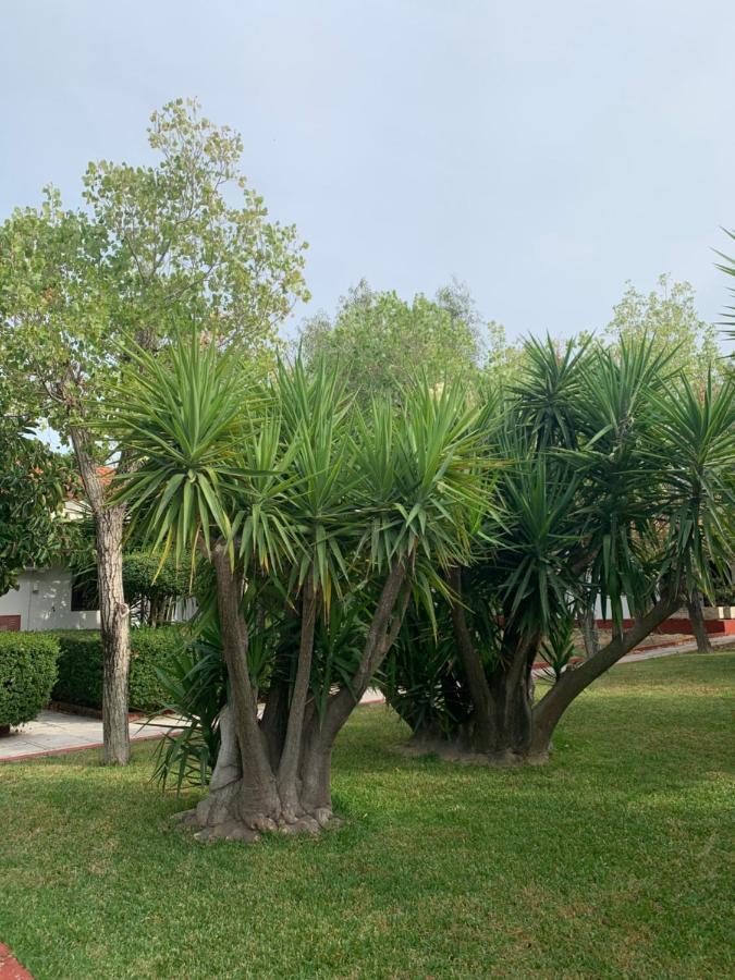 Alykes Park Bungalows Exterior photo