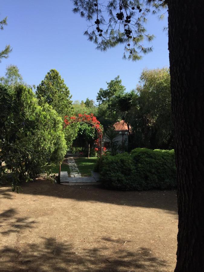 Alykes Park Bungalows Exterior photo